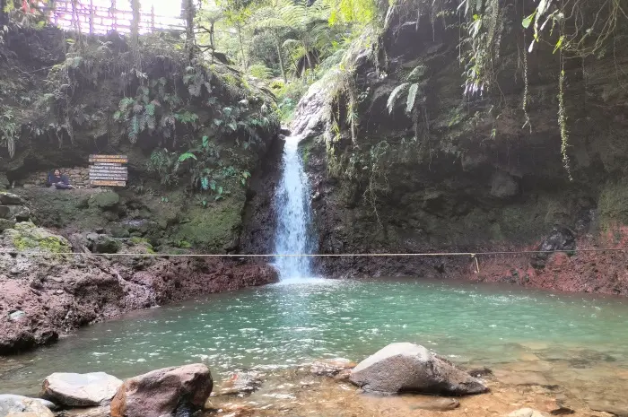 Tempat Wisata Alam di Bogor yang Menawarkan Keindahan Alam dan Ketenangan