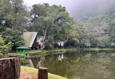 Tempat Wisata di Bogor untuk Menikmati Keindahan Alam dan Suasana Segar di Kota Hujan