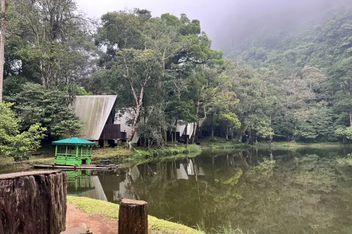 Tempat Wisata di Bogor untuk Menikmati Keindahan Alam dan Suasana Segar di Kota Hujan