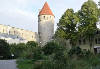 Tempat Wisata Bersejarah di Estonia, Dari Kastil Megah Hingga Gereja Kuno